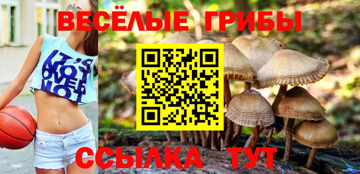 Октябрьский  Псилоцибиновые грибы прущие грибы  Вход с VPN 